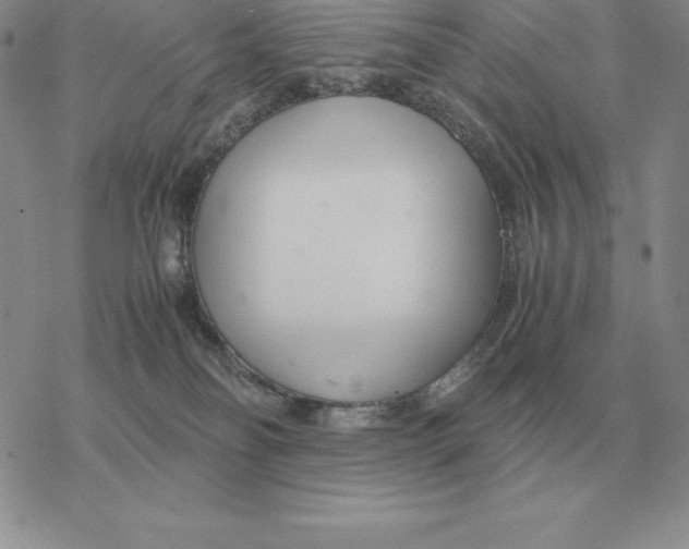 X0000077340134200611171842