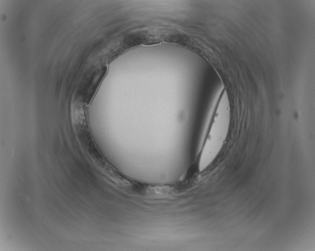 X0000077340137200611171842