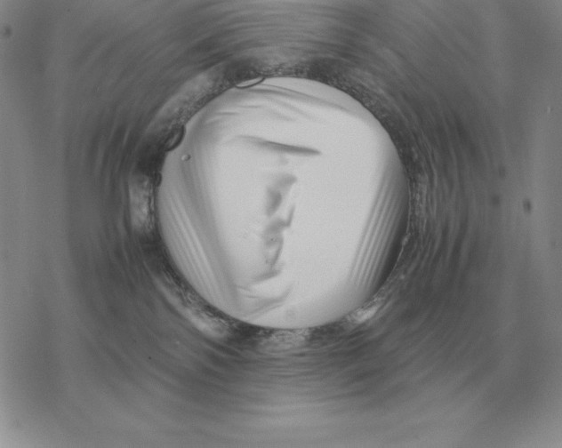 X0000077340138200611171842