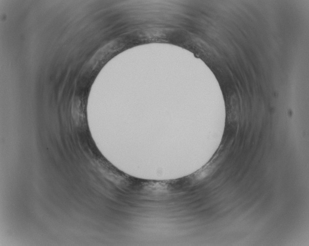X0000077340140200611171842