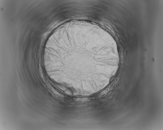X0000077340145200611171841