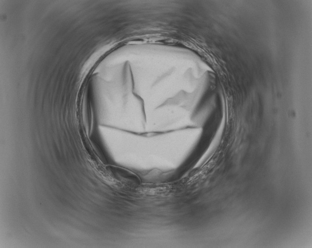 X0000077340147200611171841