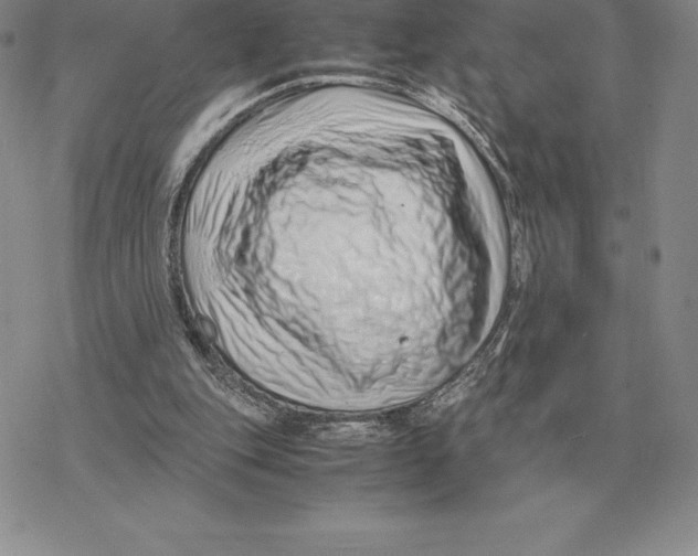 X0000077340151200611171841