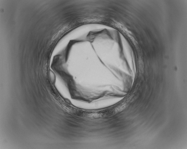 X0000077340153200611171841