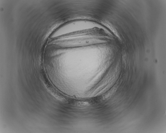 X0000077340159200611171841