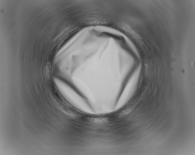 X0000077340165200611171841