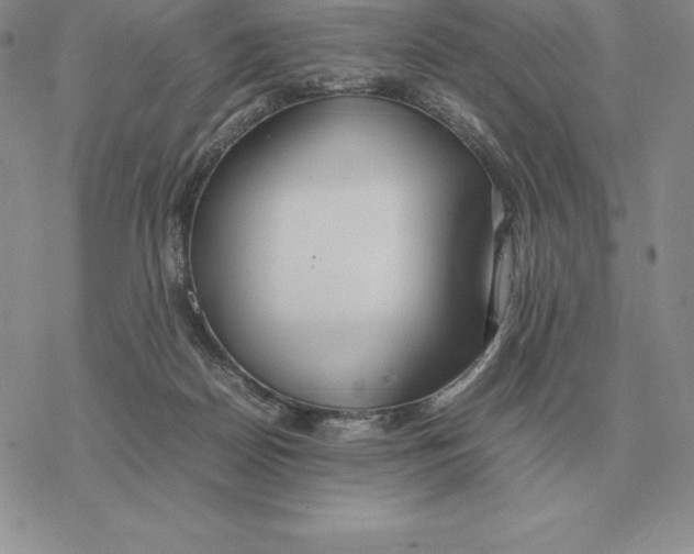X0000077340170200611171841
