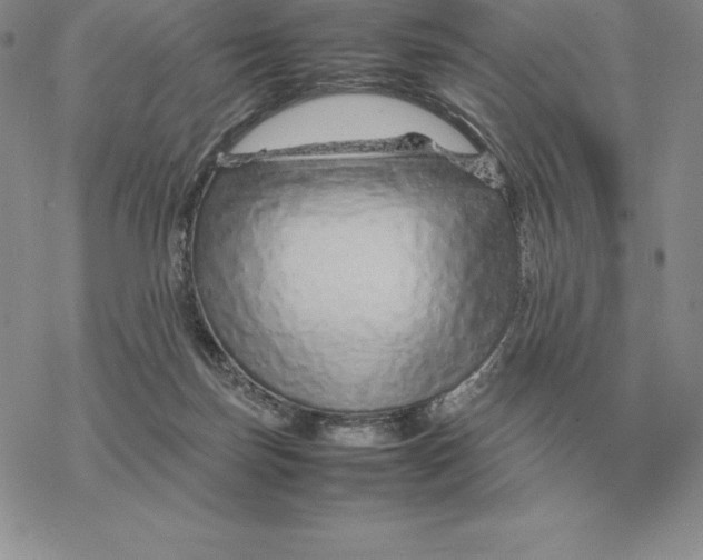X0000077340171200611171841