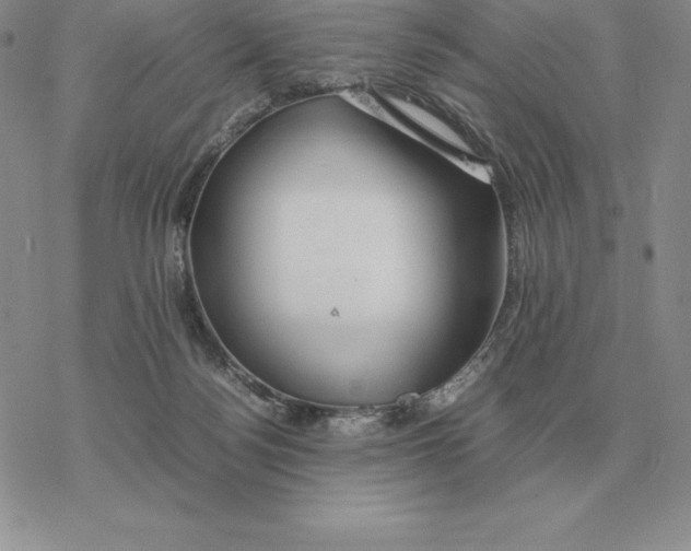 X0000077340172200611171841
