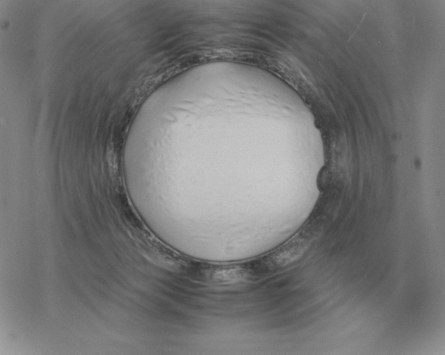 X0000077340173200611171841