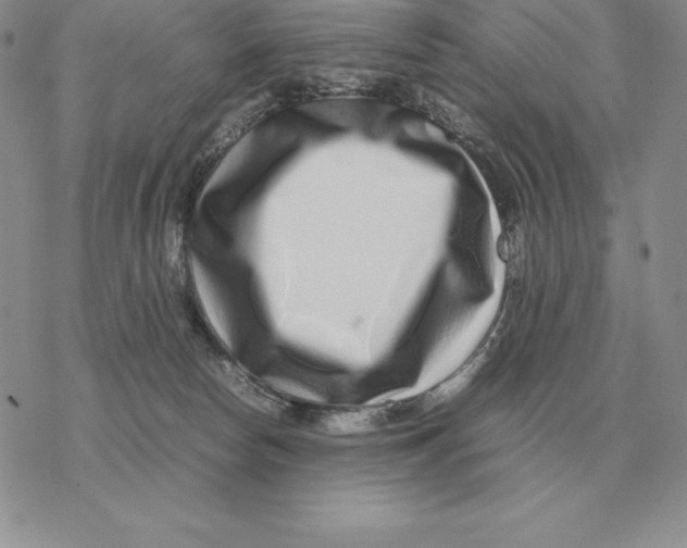 X0000077340178200611171842