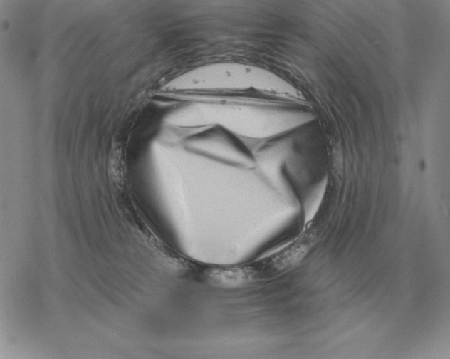 X0000077340181200611171842