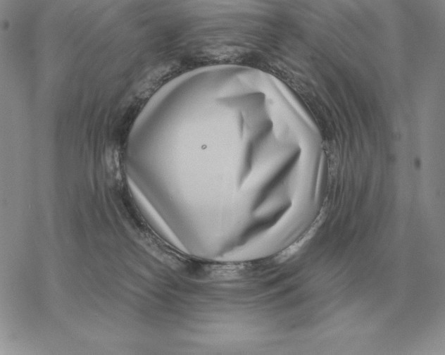 X0000077340182200611171842
