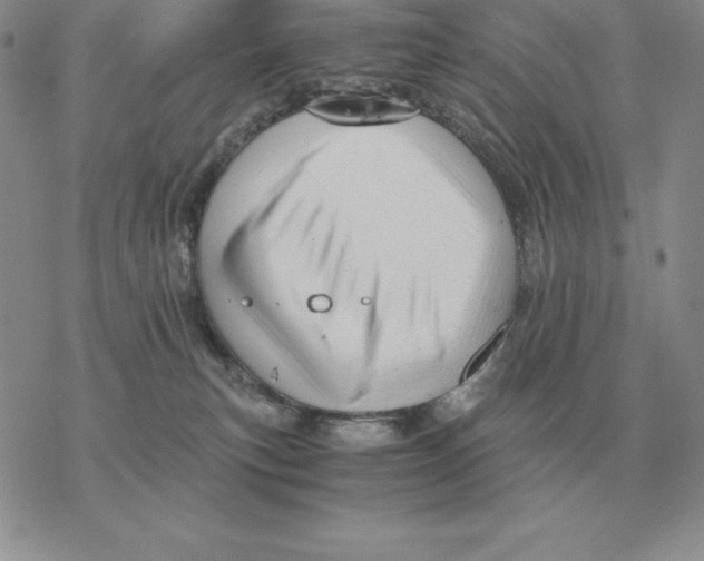 X0000077340183200611171842