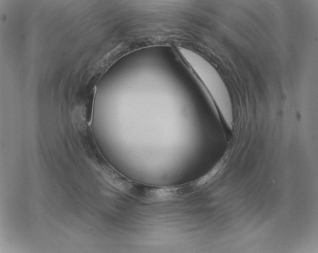 X0000077340184200611171842