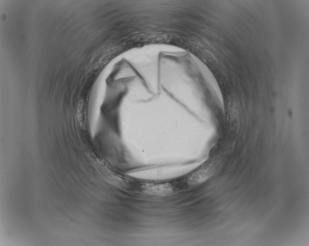 X0000077340185200611171842