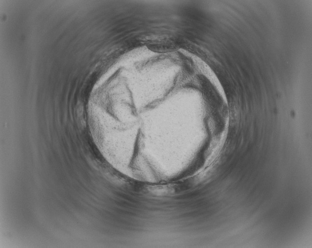 X0000077340187200611171842