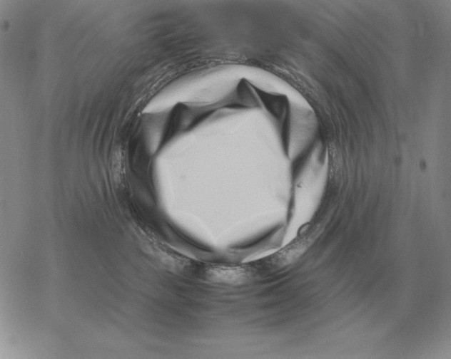 X0000077340189200611171842