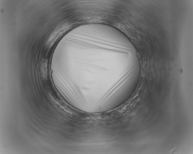 X0000077340194200611171841