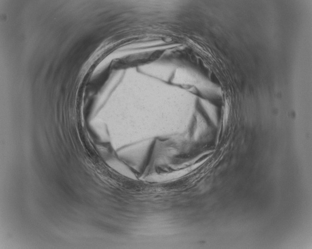 X0000077340195200611171841