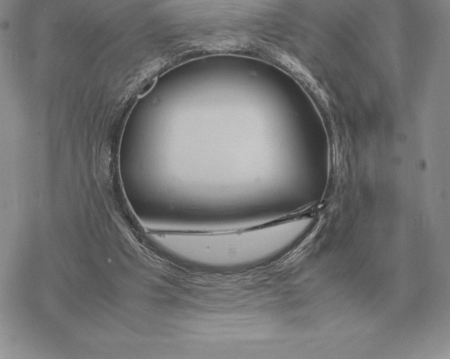 X0000077340201200611171841
