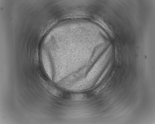 X0000077340202200611171841
