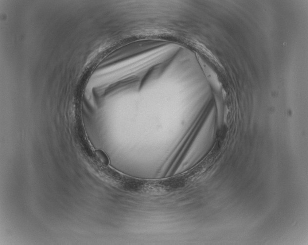X0000077340207200611171841