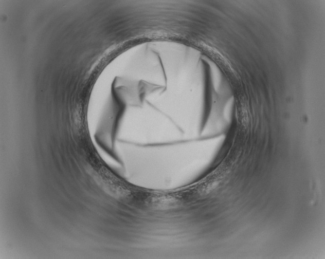 X0000077340208200611171841