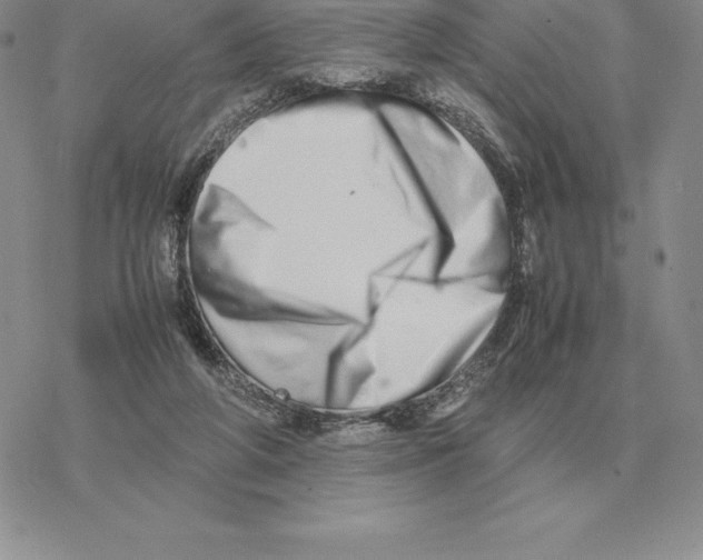 X0000077340210200611171841