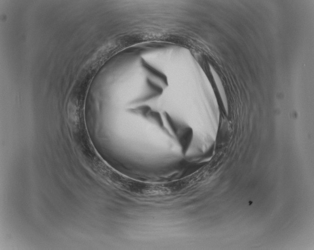 X0000077340215200611171841