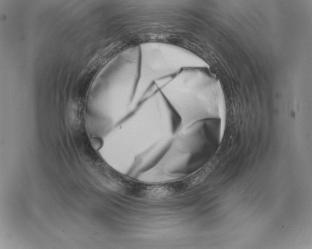 X0000077340218200611171841