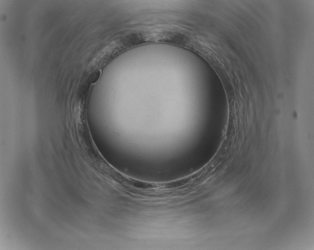 X0000077340219200611171841