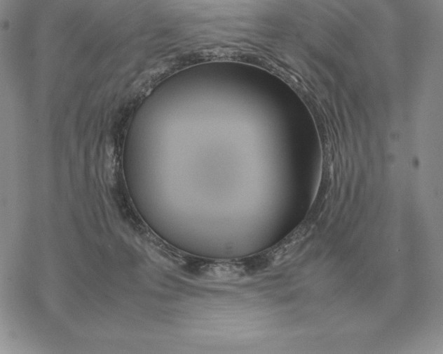 X0000077340223200611171840