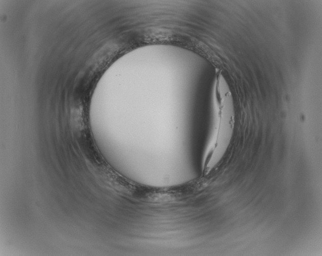 X0000077340224200611171840