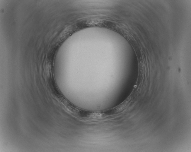 X0000077340227200611171840