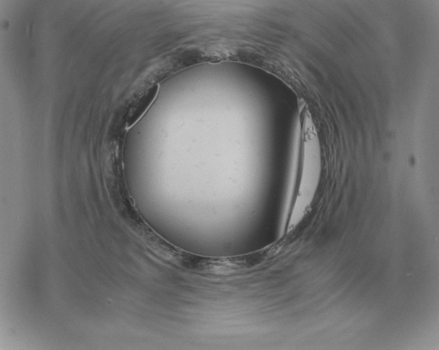 X0000077340229200611171840
