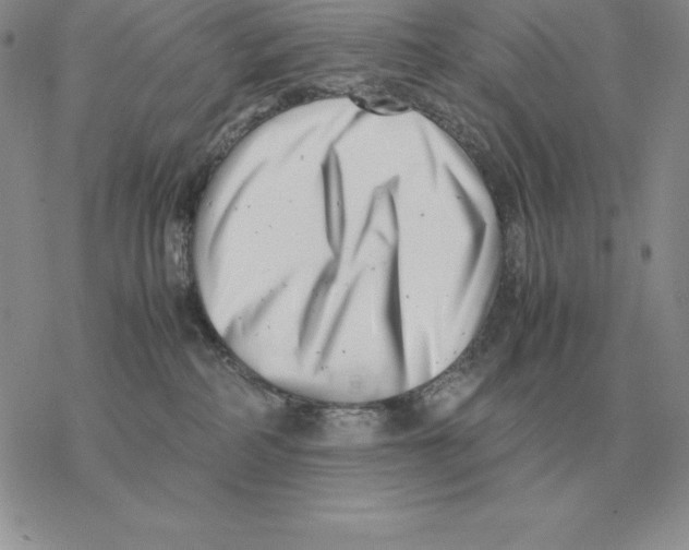 X0000077340234200611171840