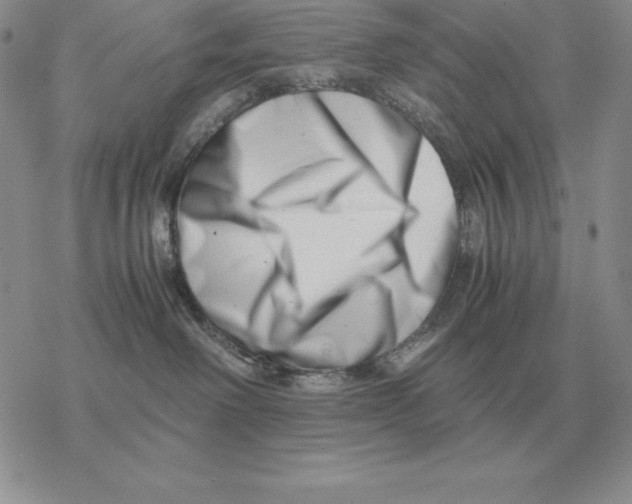 X0000077340238200611171840