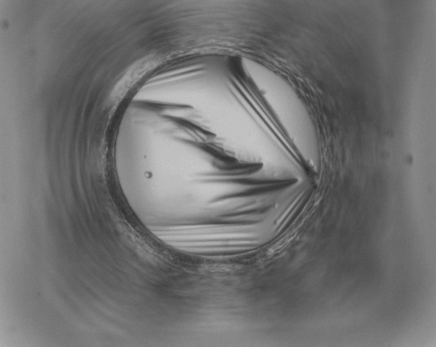 X0000077340242200611171839