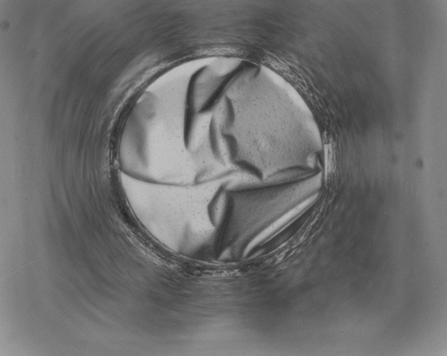 X0000077340243200611171839