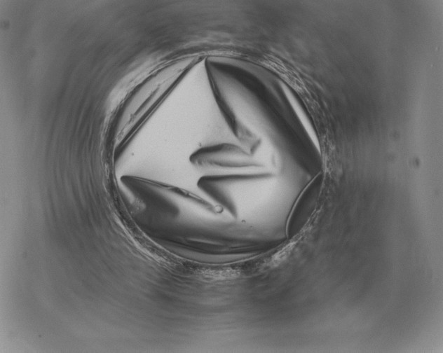 X0000077340245200611171839
