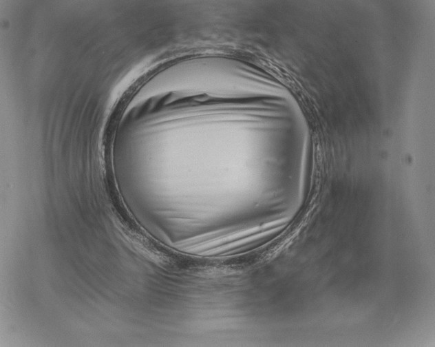 X0000077340246200611171839