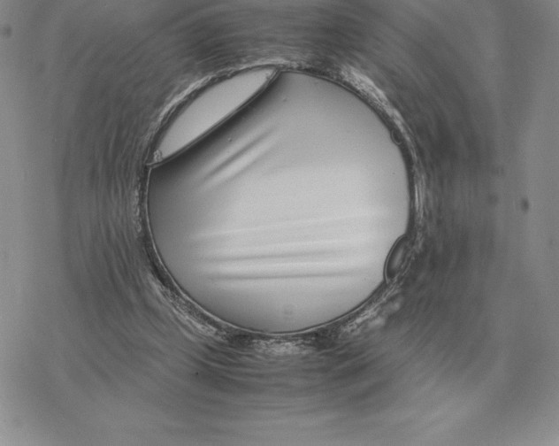 X0000077340249200611171840