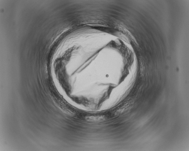 X0000077340251200611171840