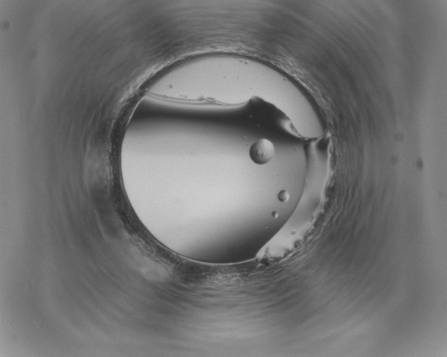 X0000077340252200611171840
