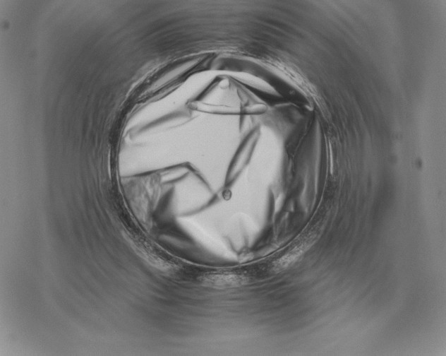X0000077340253200611171840