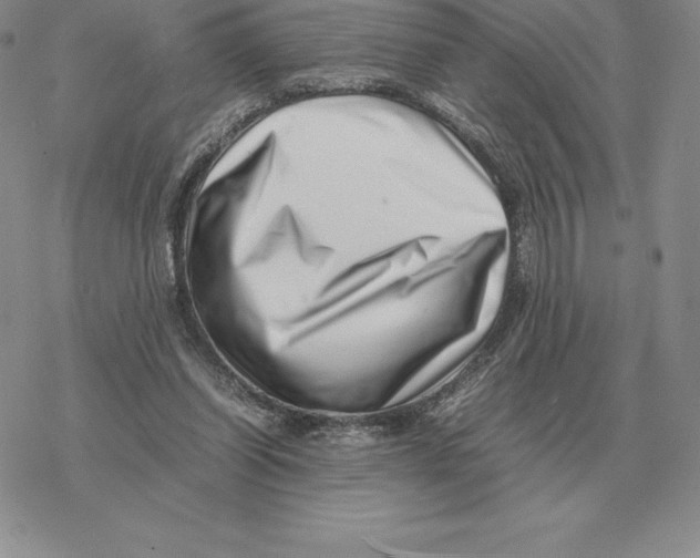 X0000077340254200611171840