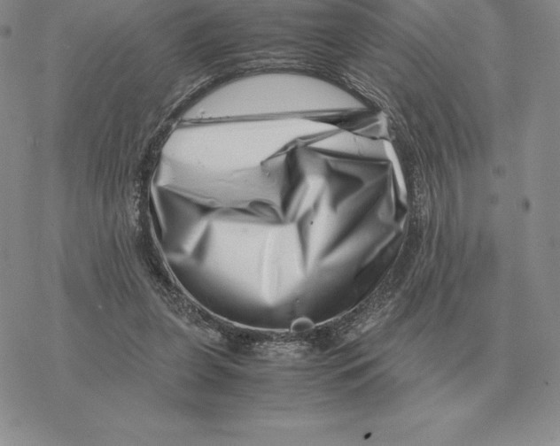 X0000077340255200611171840