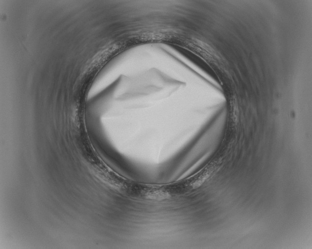 X0000077340258200611171840