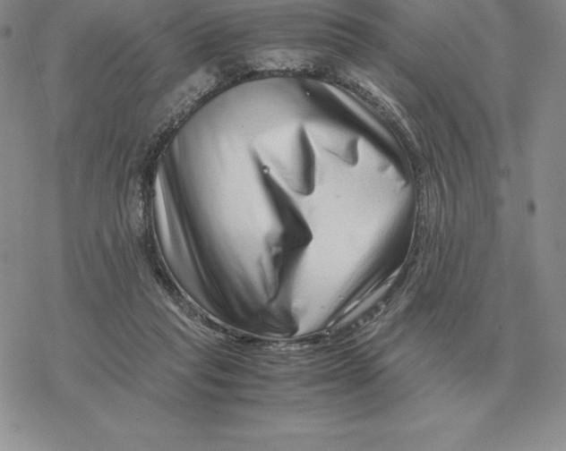 X0000077340261200611171840